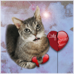 CODY Forever [CB,&nbsp;POTP]