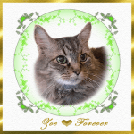 ZOE-Forever-2-150×150