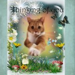 cassiebewerktvoorphotoshop3