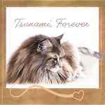 TSUNAMI-Forever