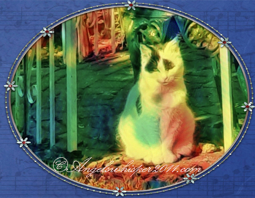 Y O U C A N P U Z Z L E M E H E R E :) E N J O Y !