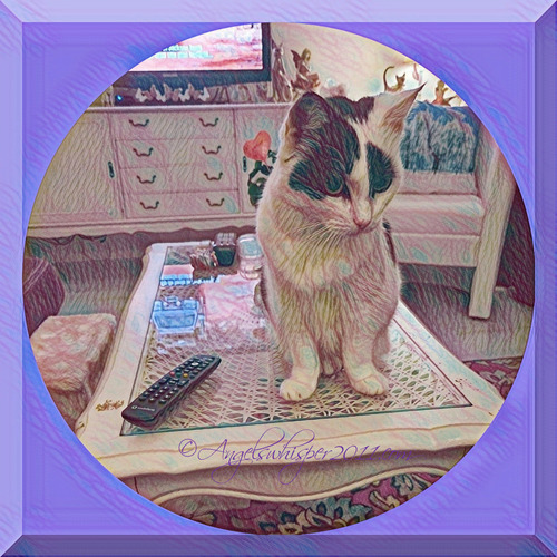 PUZZLE ME HERE AND E N J O Y 💙😺