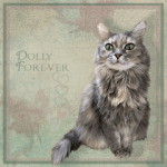 DOLLY-Forever
