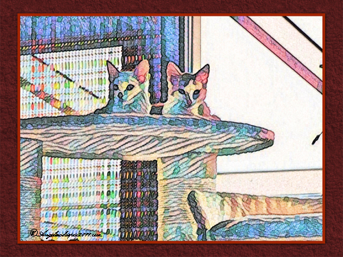 Puzzle ussie right here and ENJOY🎨