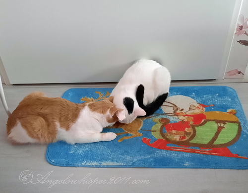 we wanted be near to each other...