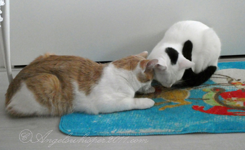 we fell asleep effurrywhere we could..MOL...