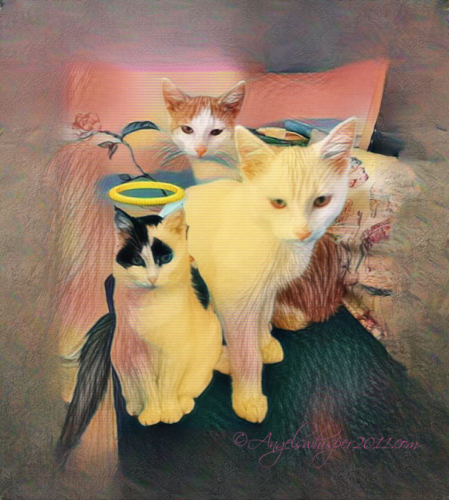 You can Puzzle Us Here and don't forget to SMILE and ENJOY on ussie😸💞