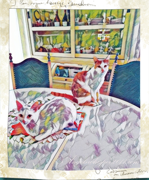 PUZZLE US HERE and ENJOY😸