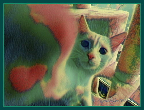 PUZZLE ME HERE and ENJOY😻