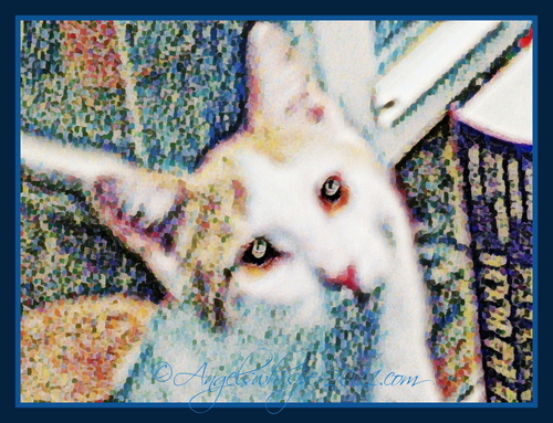 PUZZLE ME HERE and ENJOY😻