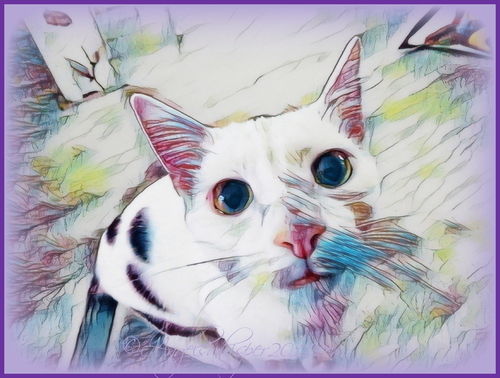 PUZZLE ME HERE and have fun when you put all the pieces together again😸