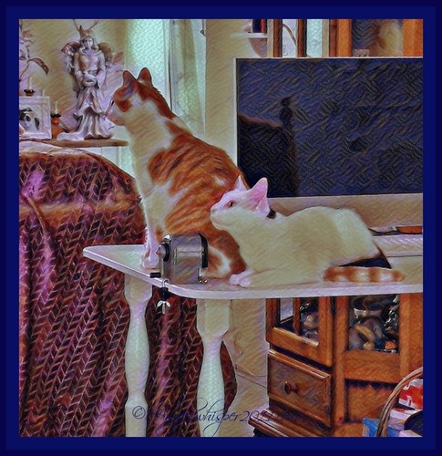 PUZZLE US HERE and don't worry, be Happy😸