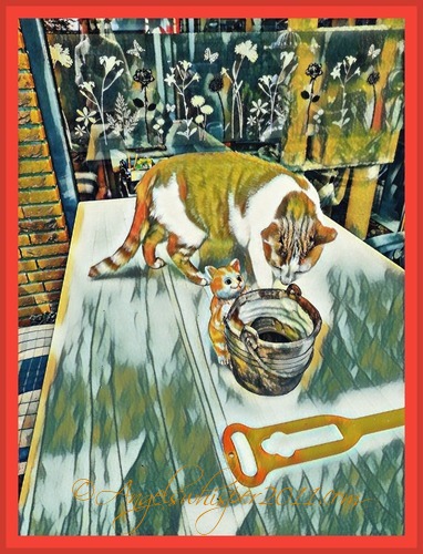 PUZZLE ME HERE and have a great time🌞🐾😽💞