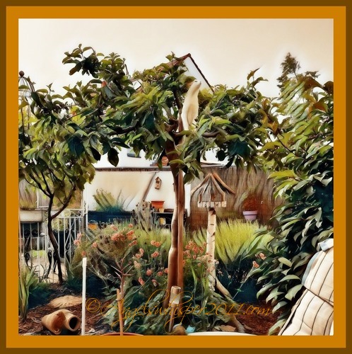 PUZZLE ME HERE and have a great time🌞🐾😽💞