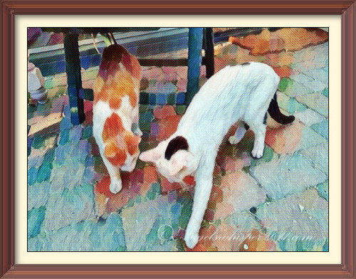 Puzzle us Here and Have fun all together😻