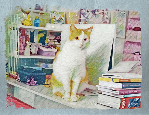 PUZZLE ME HERE and ENJOY while you put all the pieces together again😸😺