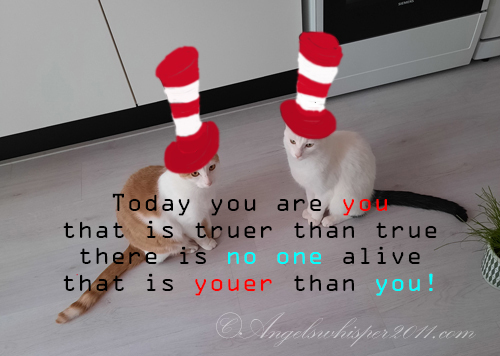 You also can puzzle us here...and don't forget to have fun when you put all the pieces together again😹