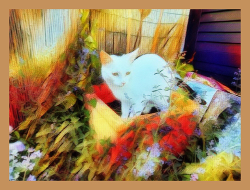 and you can PUZZLE ME here, just click on my picture and ENJOY😸