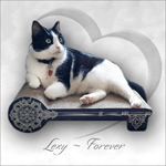LEXY-Forever-2