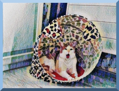 PUZZLE me HERE and ENJOY😸