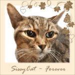 SissyCat-Forever