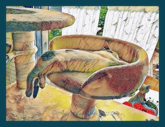 PUZZLE me HERE and ENJOY😻