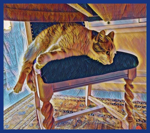 PUZZLE me HERE and ENJOY😻