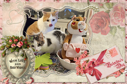 PUZZLE us HERE and ENJOY me hearties๐