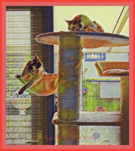 PUZZLE us HERE and ENJOY😺😺