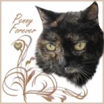 Forever-Penny