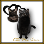 ELLIE-MAE-Forever-REV-June-2026