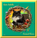 Katie.RIP.1